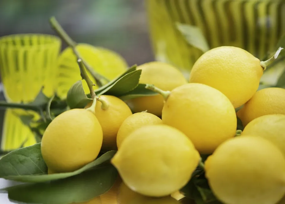 lemon