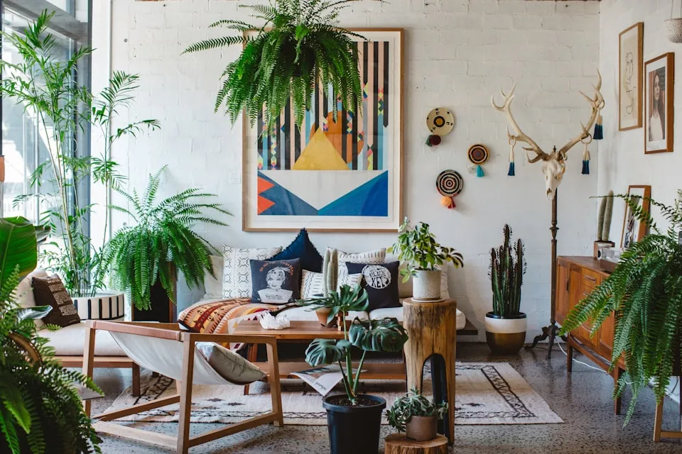 Plants inside a room with indirect light