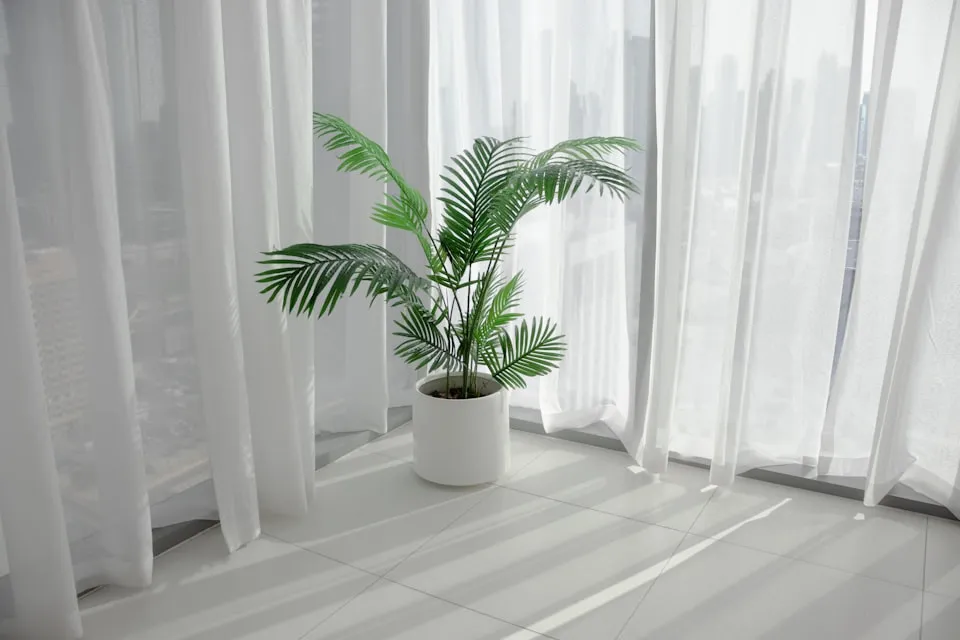 Plant room indirect light
