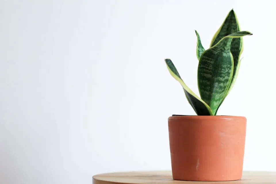 Plant room indirect light