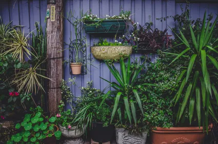 Vertical Gardens - Transform Your Home with More Greenery and Freshness